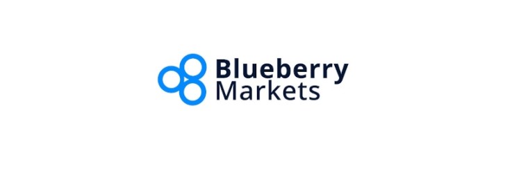 Обзор брокер Blueberry Markets: отзывы 2022 года про развод