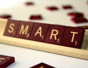 Описание и принцип работы SMART задачи